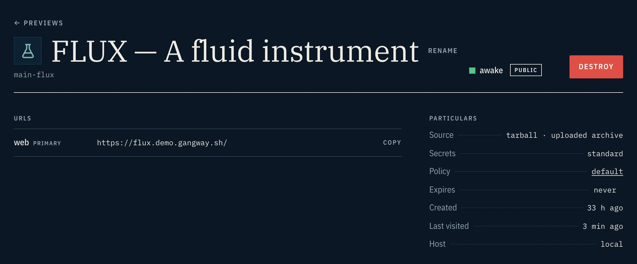 A preview's page: its title, awake and public, a Destroy button, its URL, and particulars such as source, policy, expiry and host.